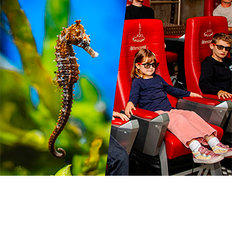 4-5 yo child(ren) Combined tickets