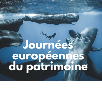 Journées du Patrimoine 2026 :The Wildlife Odyssey