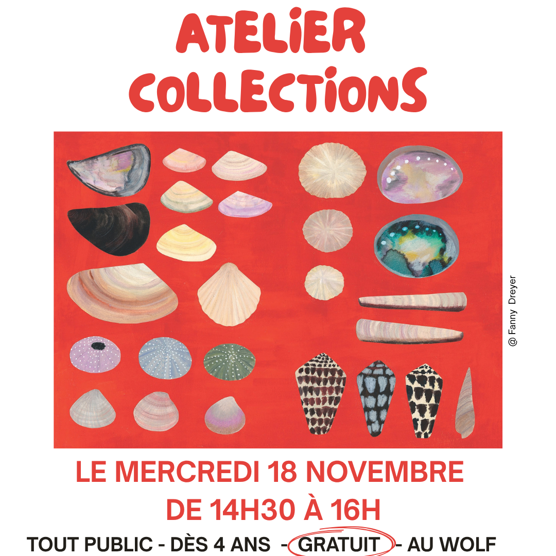 Atelier Collections - COMPLET