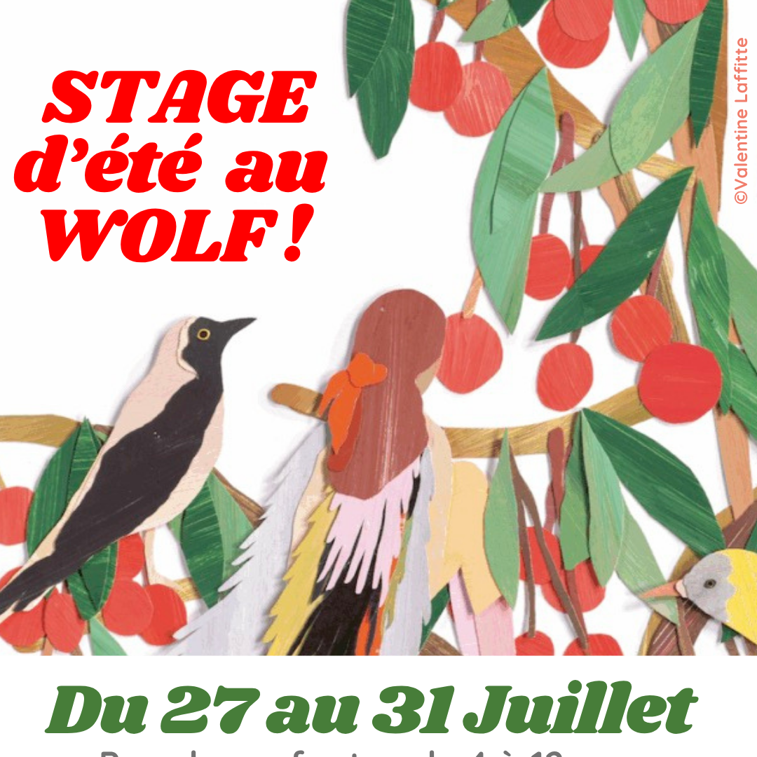 Du 27 au 31 juillet - Stage d'été