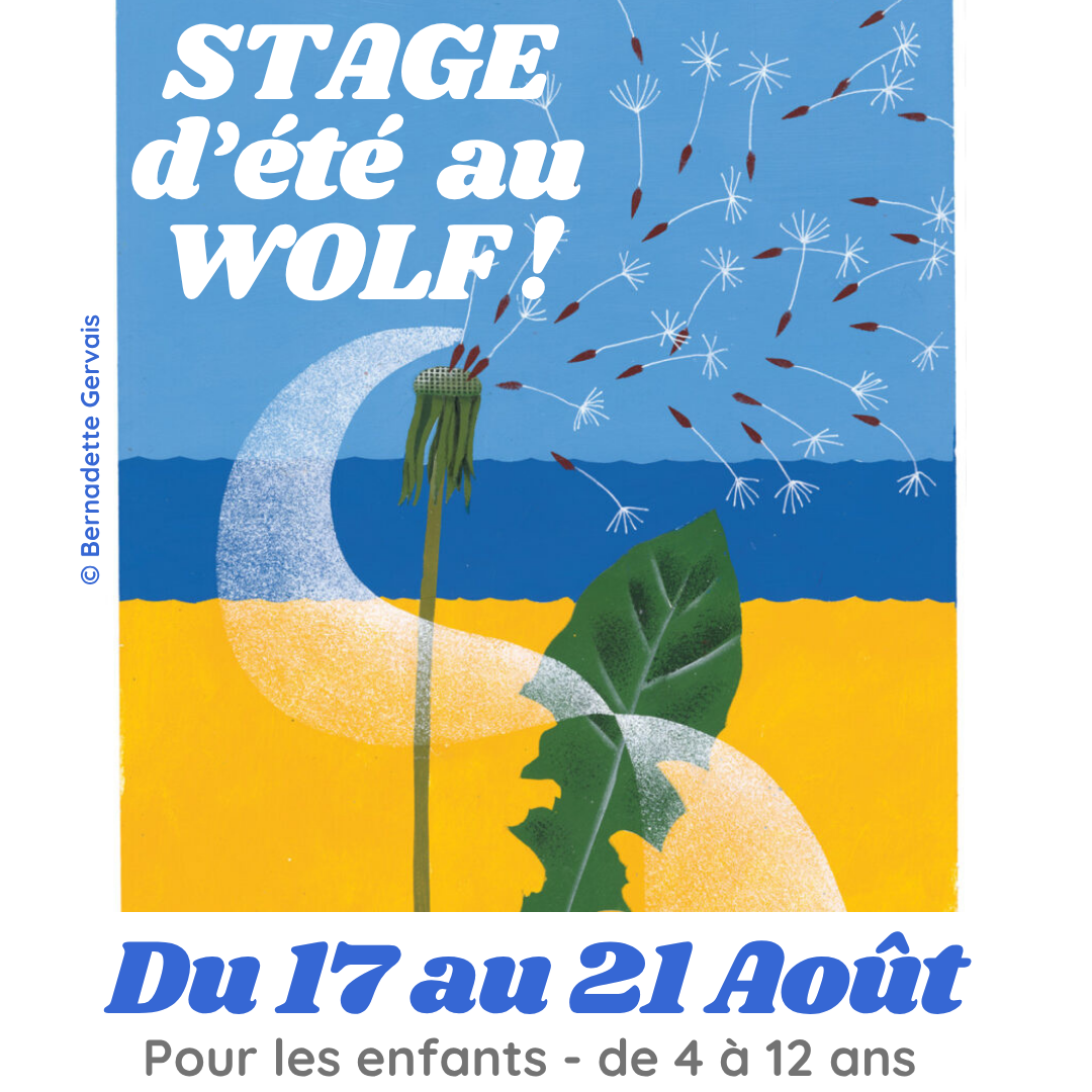 Du 17 au 21 août - Stage d'été