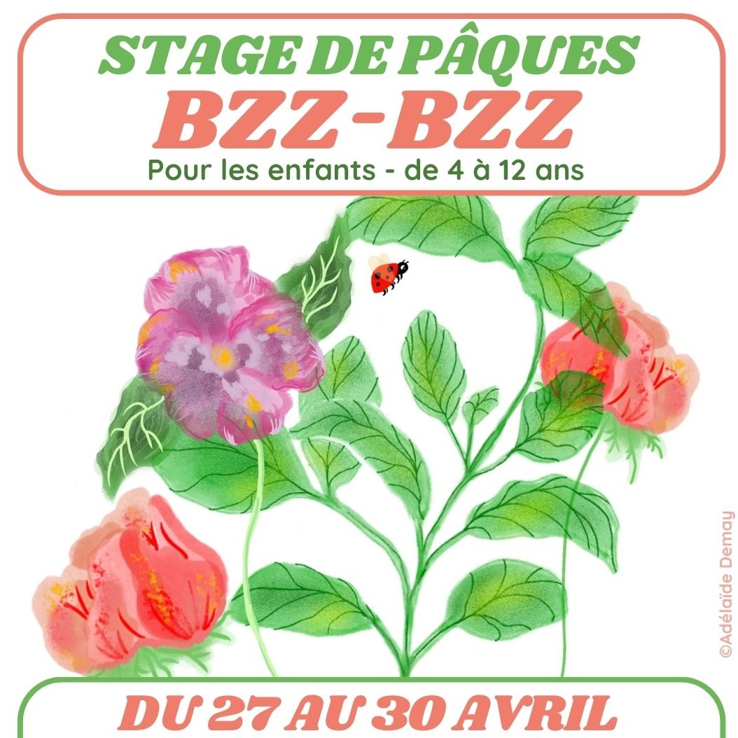 27 au 30 avril 2026 - STAGE DE PAQUES