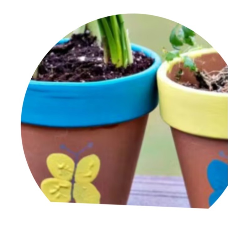 Animation des artistes + 2 Entrées aire de jeux