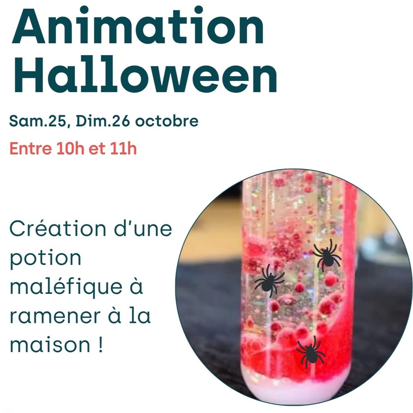 Animation des artistes + 2 Entrées aire de jeux