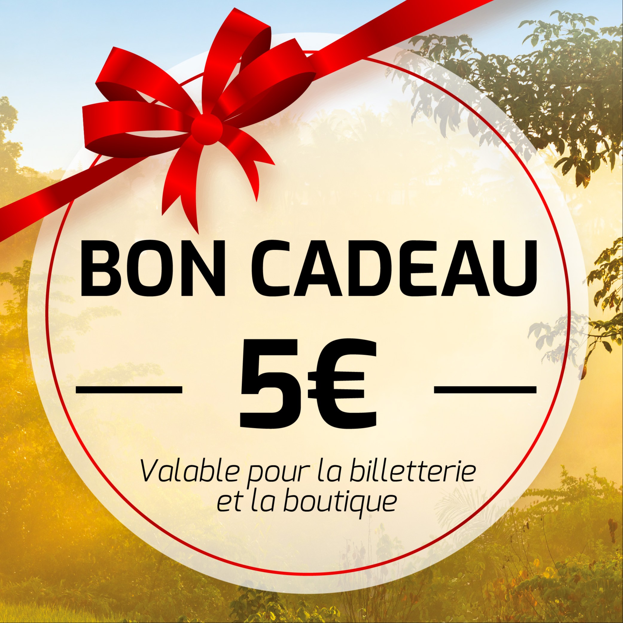 Bon Cadeau 5 €