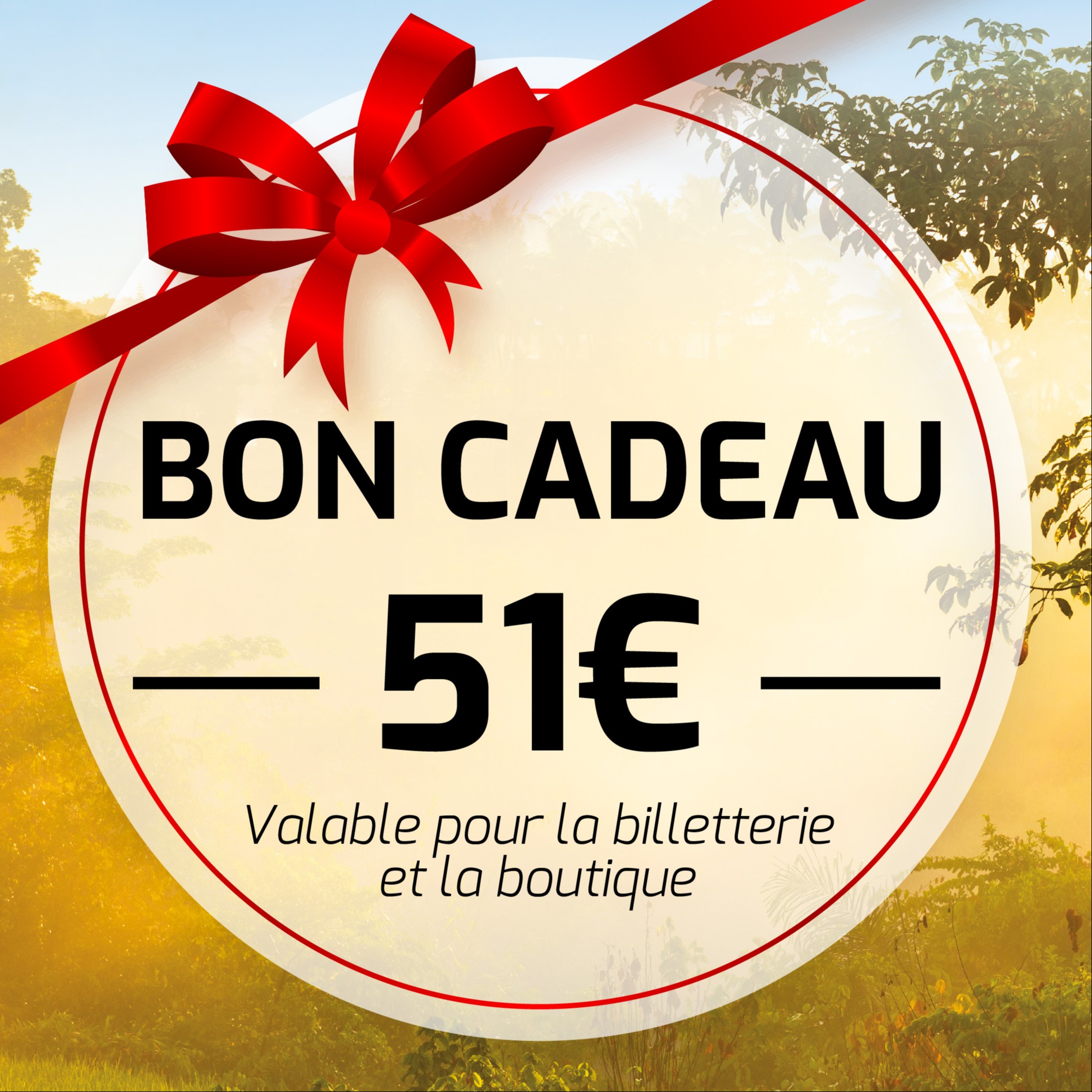 Bon Cadeau 51 € - Pass Saison Adulte