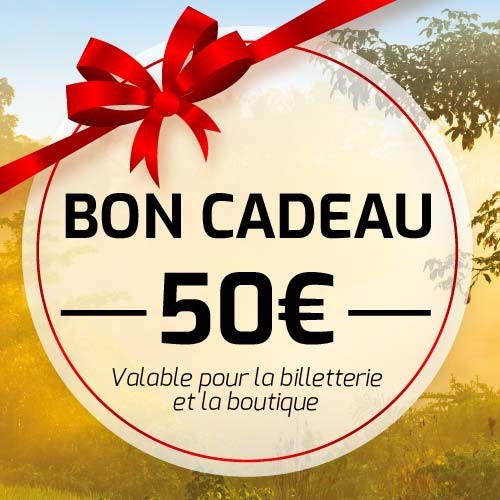 Bon cadeau 50 €