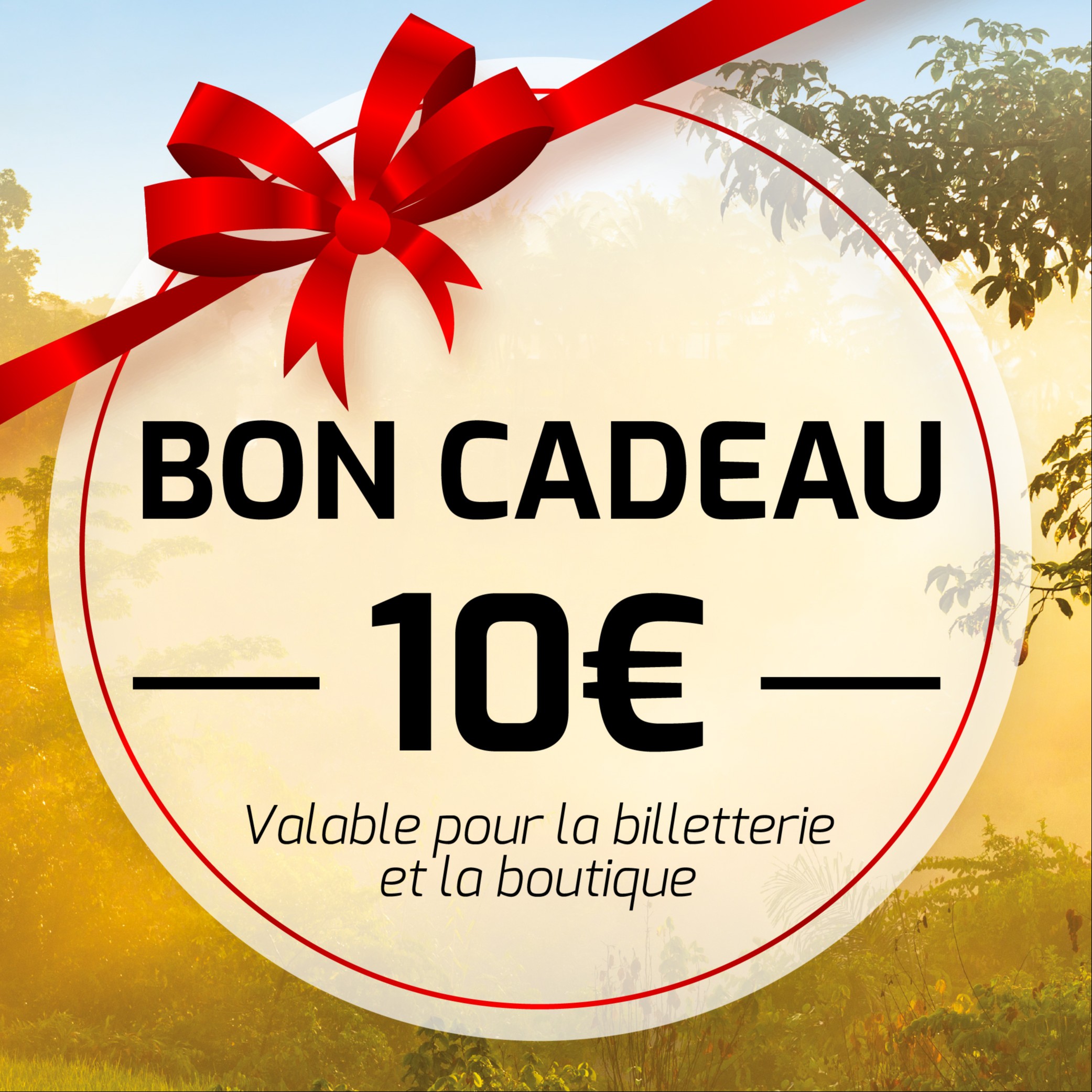 Bon Cadeau 10 €