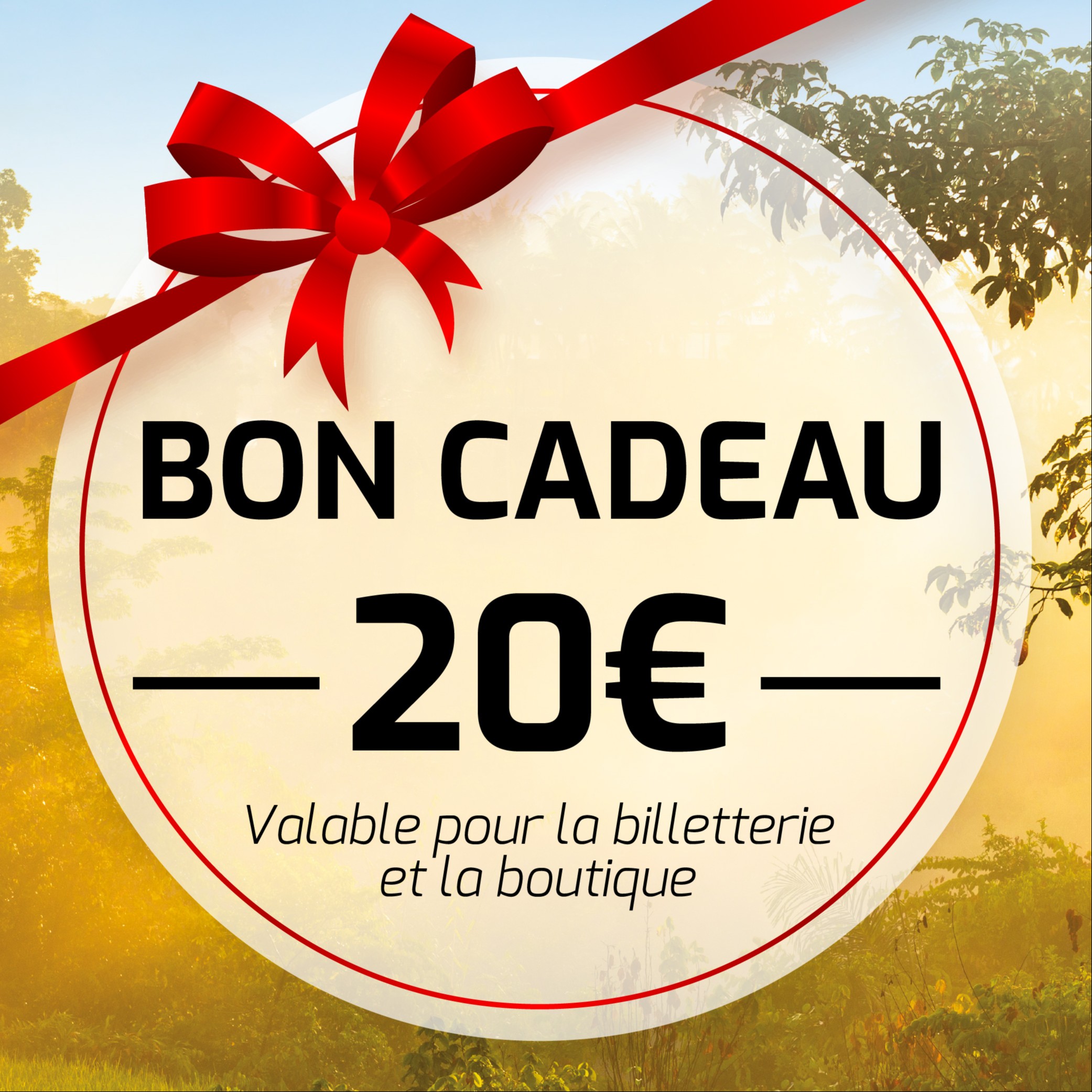 Bon Cadeau 20 €
