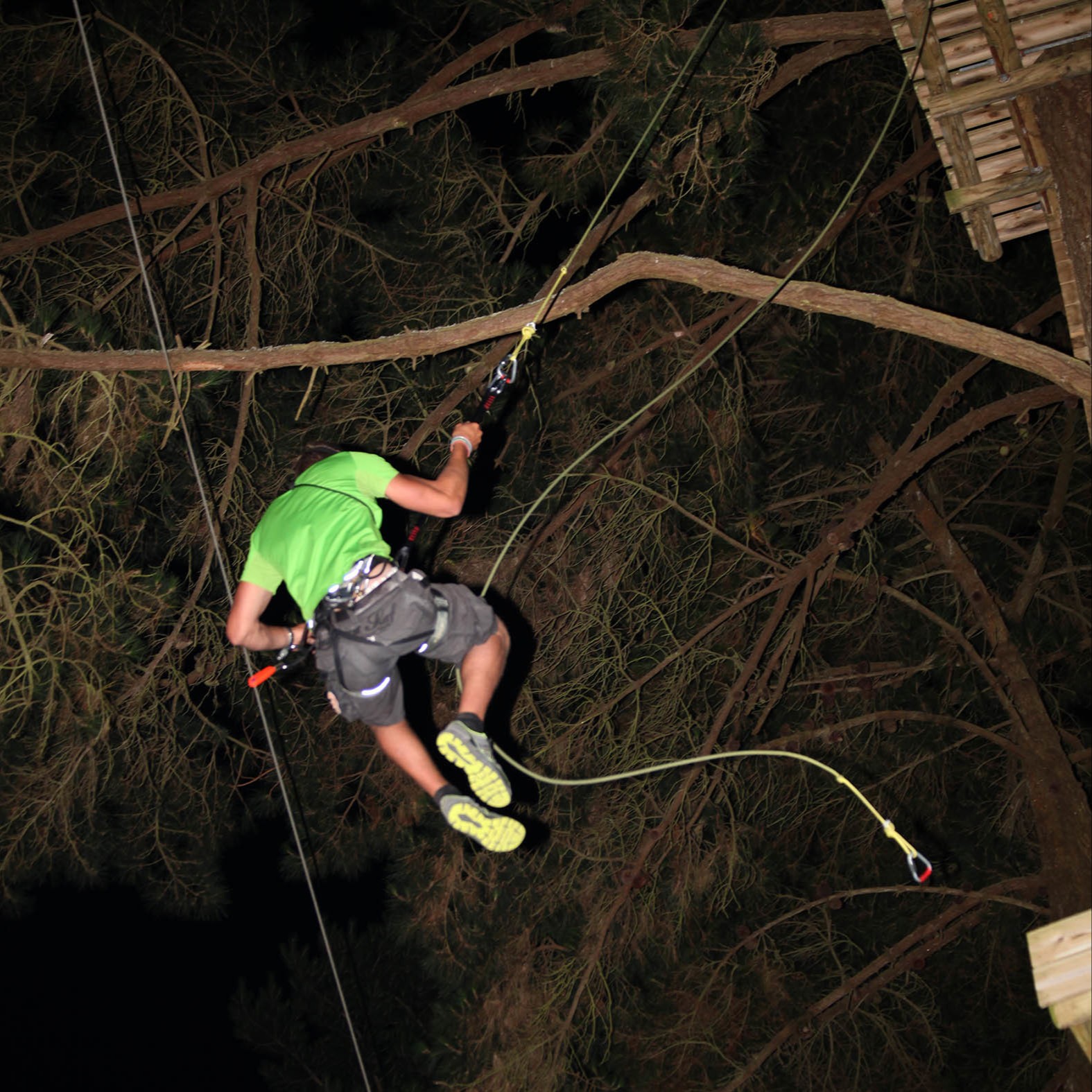 Accrobranche Nocturne