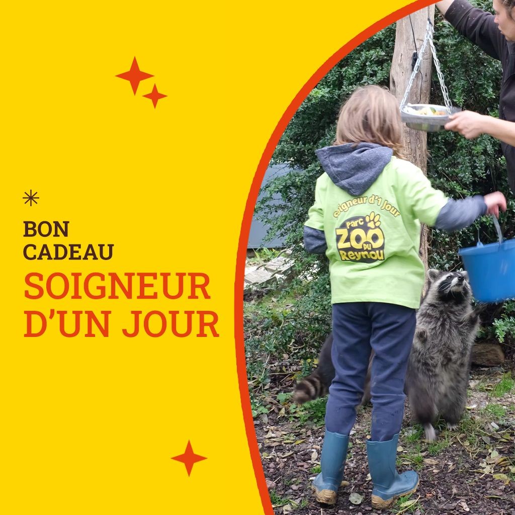 Bon Cadeau Soigneur d'un jour (3 participants)