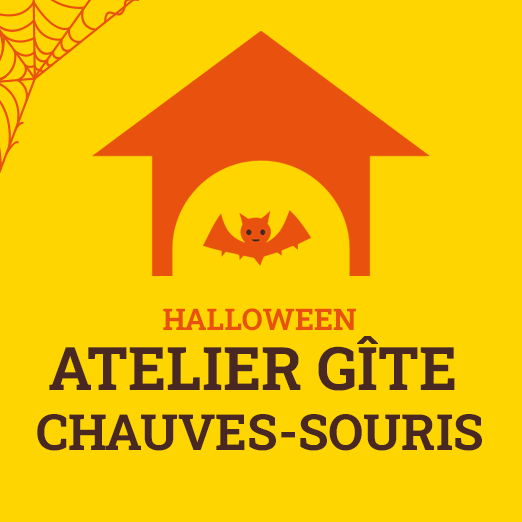 Atelier gites à chauve-souris