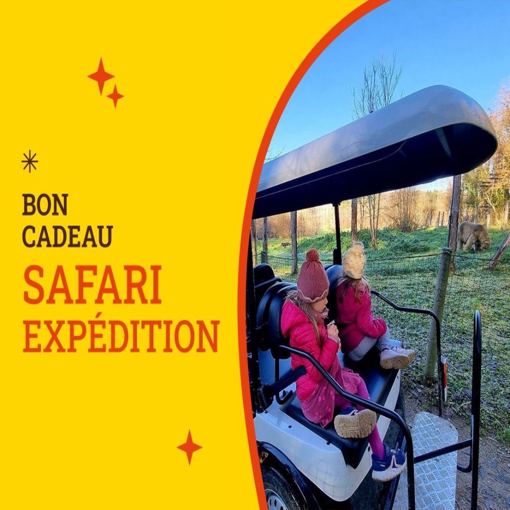 Bon Cadeau Safari Expédition