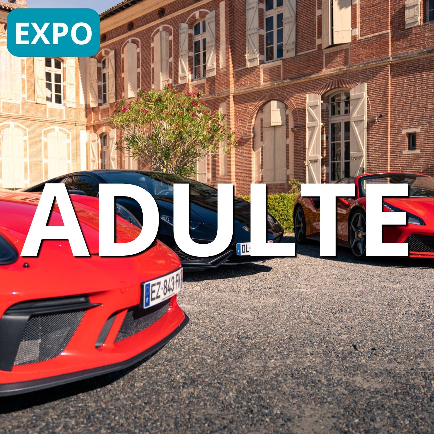 Exposition uniquement Ad. (+12ans)