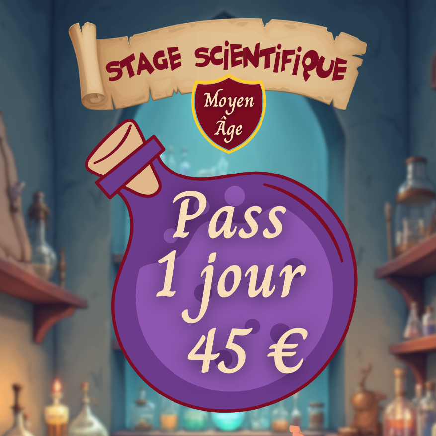 STAGE JOURNÉE FEVRIER 2026