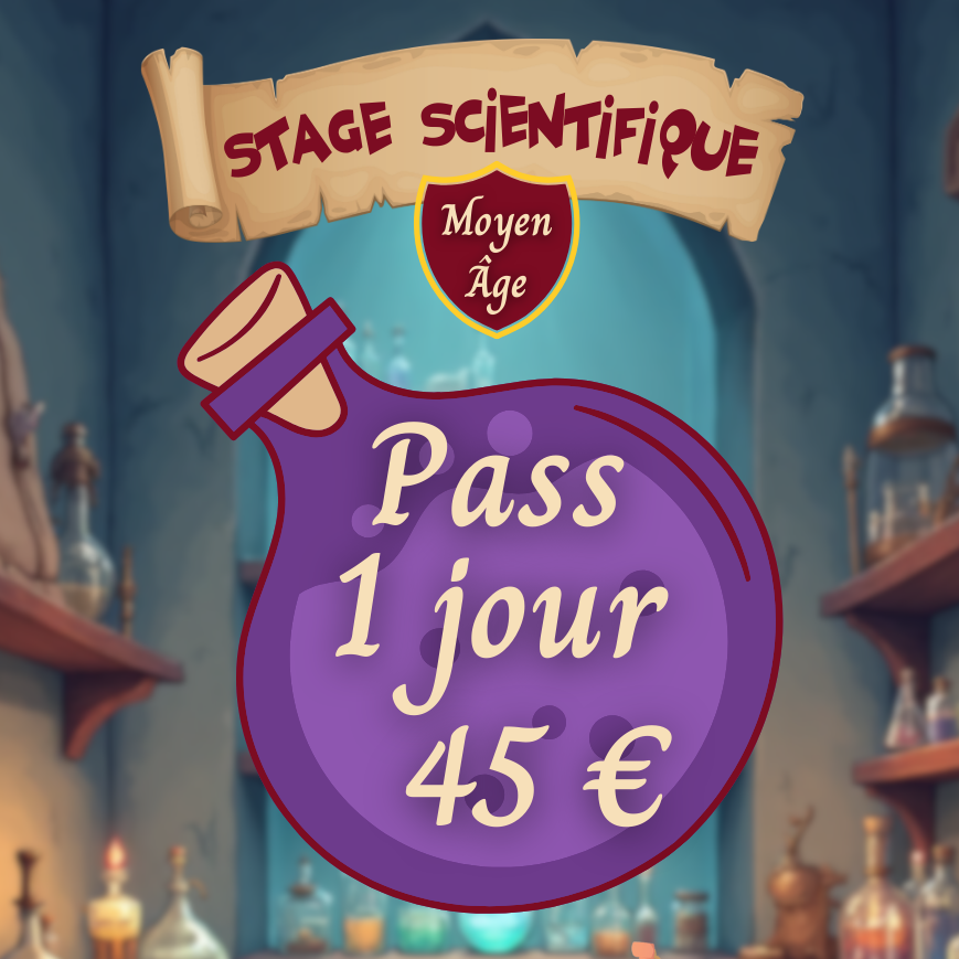 STAGE JOURNÉE FEVRIER 2026