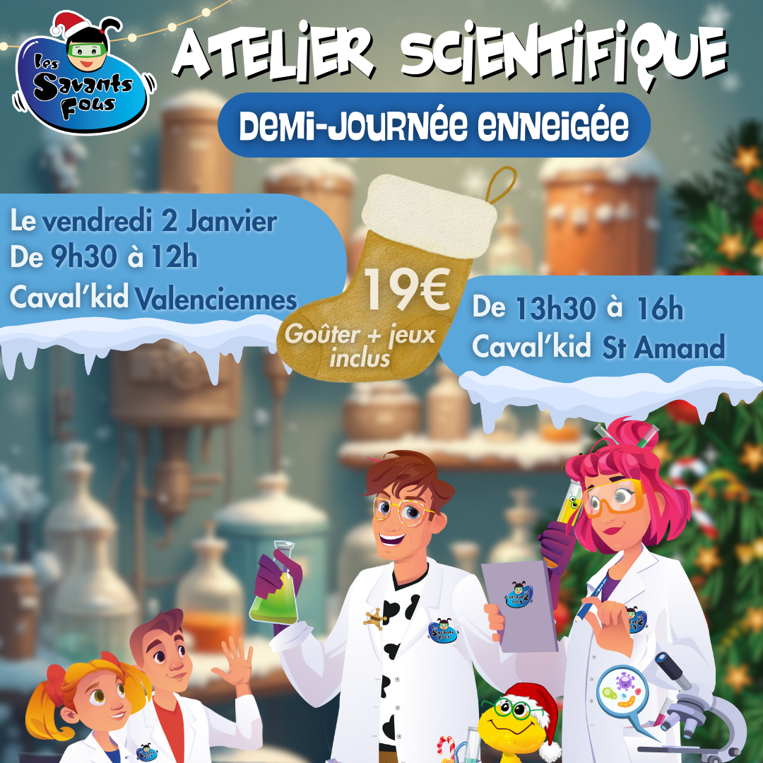 DEMI JOURNEE ENNEIGÉE