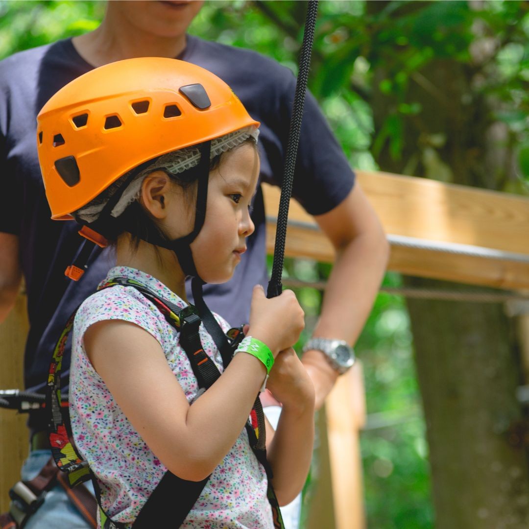Stage des aventuriers de la forêt