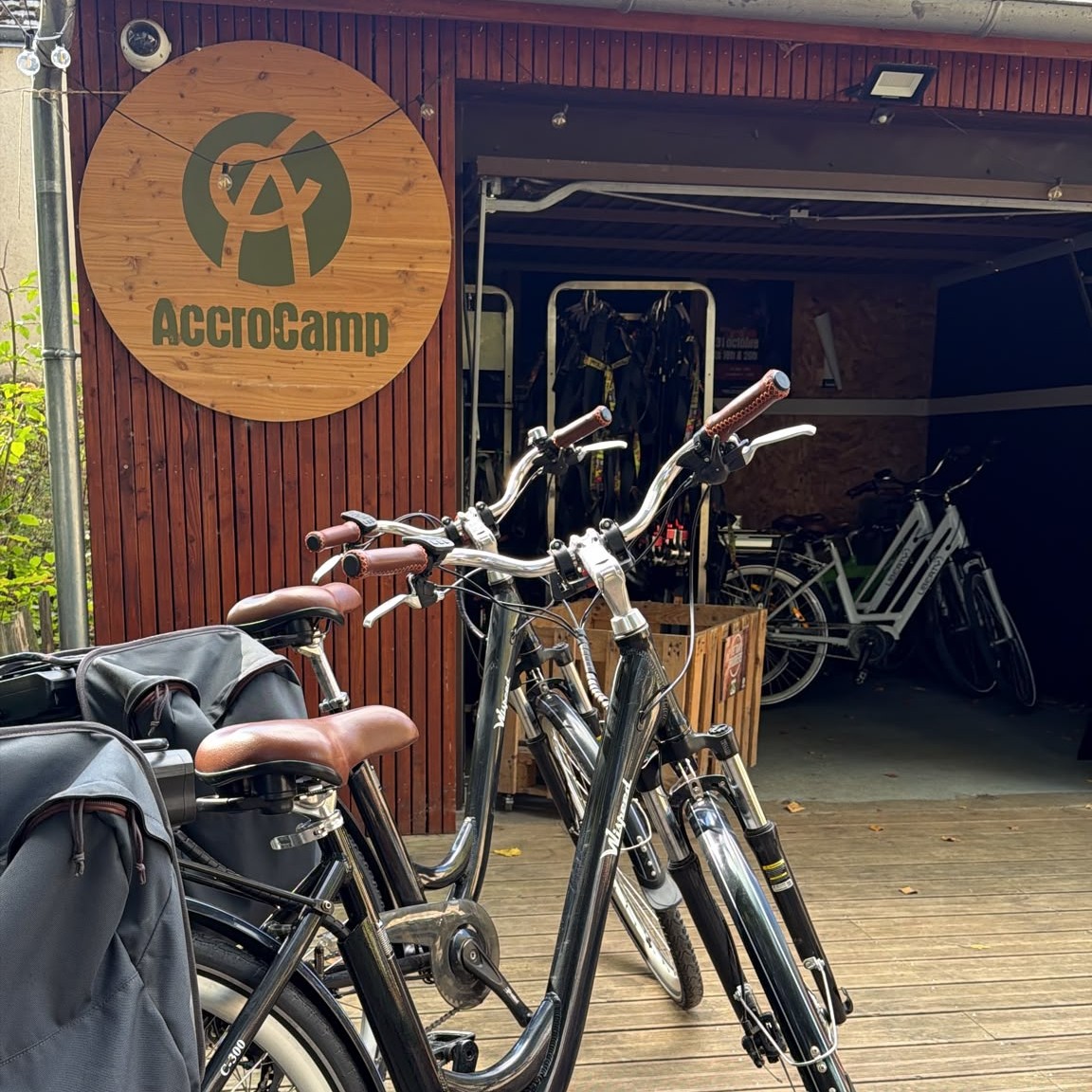 Vélo électrique adulte (1h)