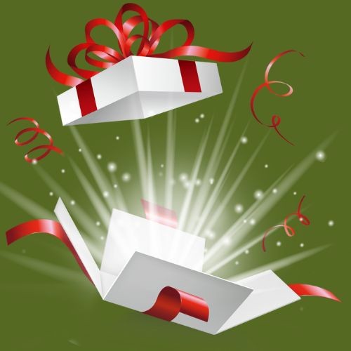 Bon cadeau de 100€ (25€ offerts)