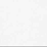 ADULTE ( 14 ans et + )