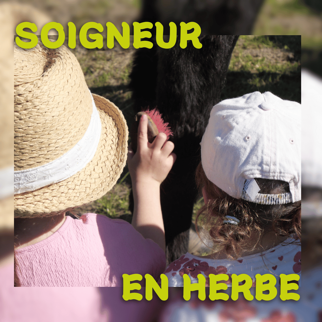 <center>Atelier Soigneur en Herbe - Activité encadrée</center>