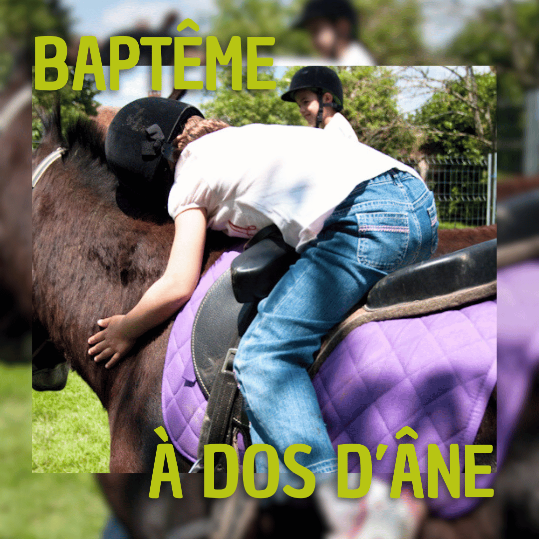 <center>Baptême à dos d'âne - Activité encadrée</center>
