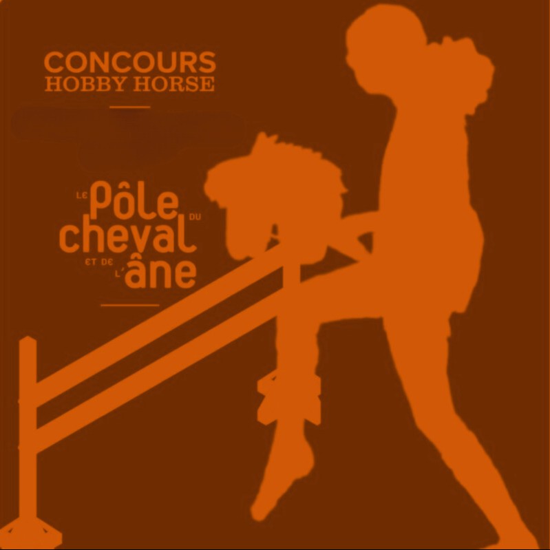 Puissance - Hobby Horsing !