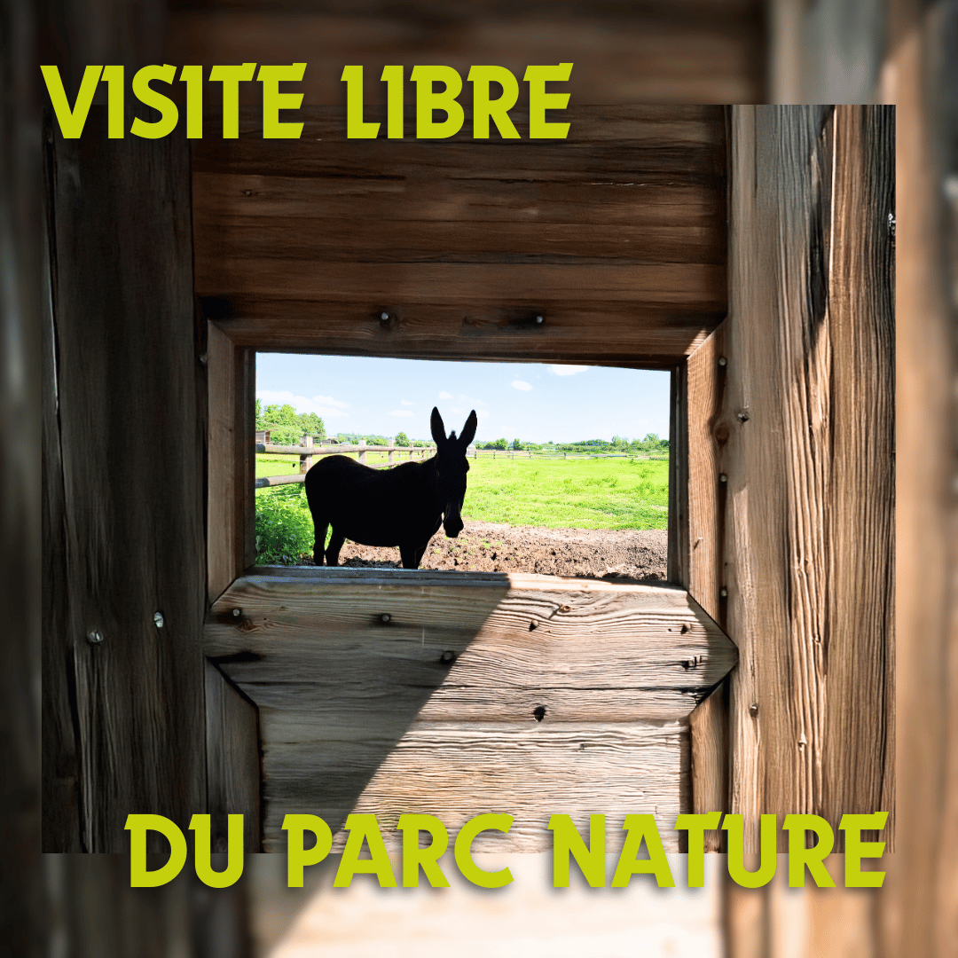 <center>Tarif réduit - Billet d'entrée</center>