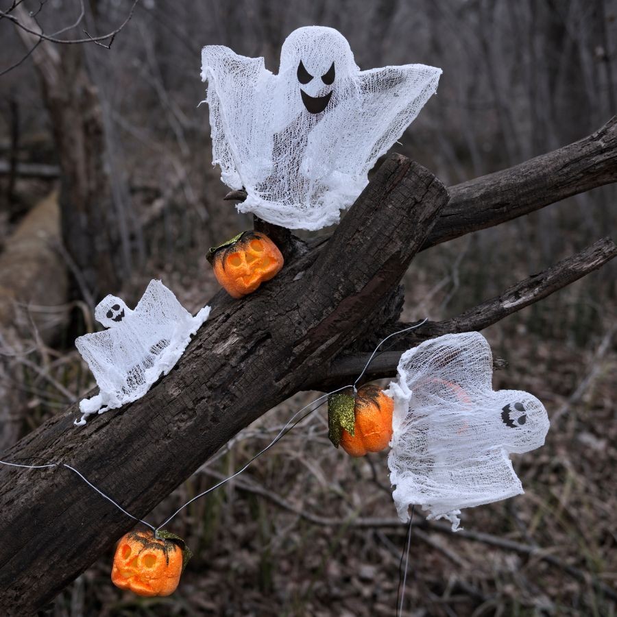 Chasse aux fantômes