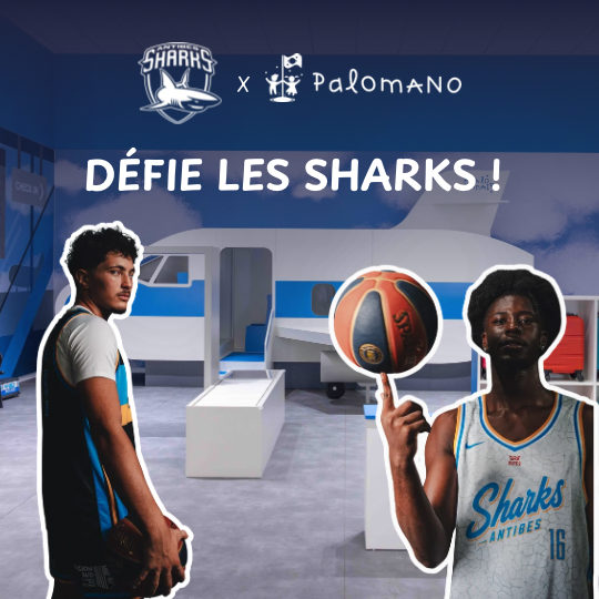 🏀 Défie les Sharks à Palomano Grasse Mardi 27 octobre 2026