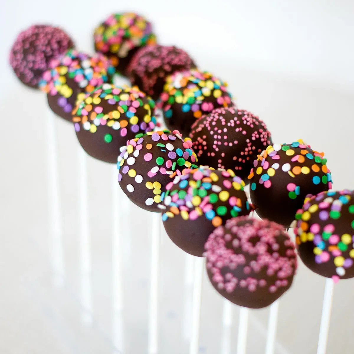 Atelier Pop Cakes