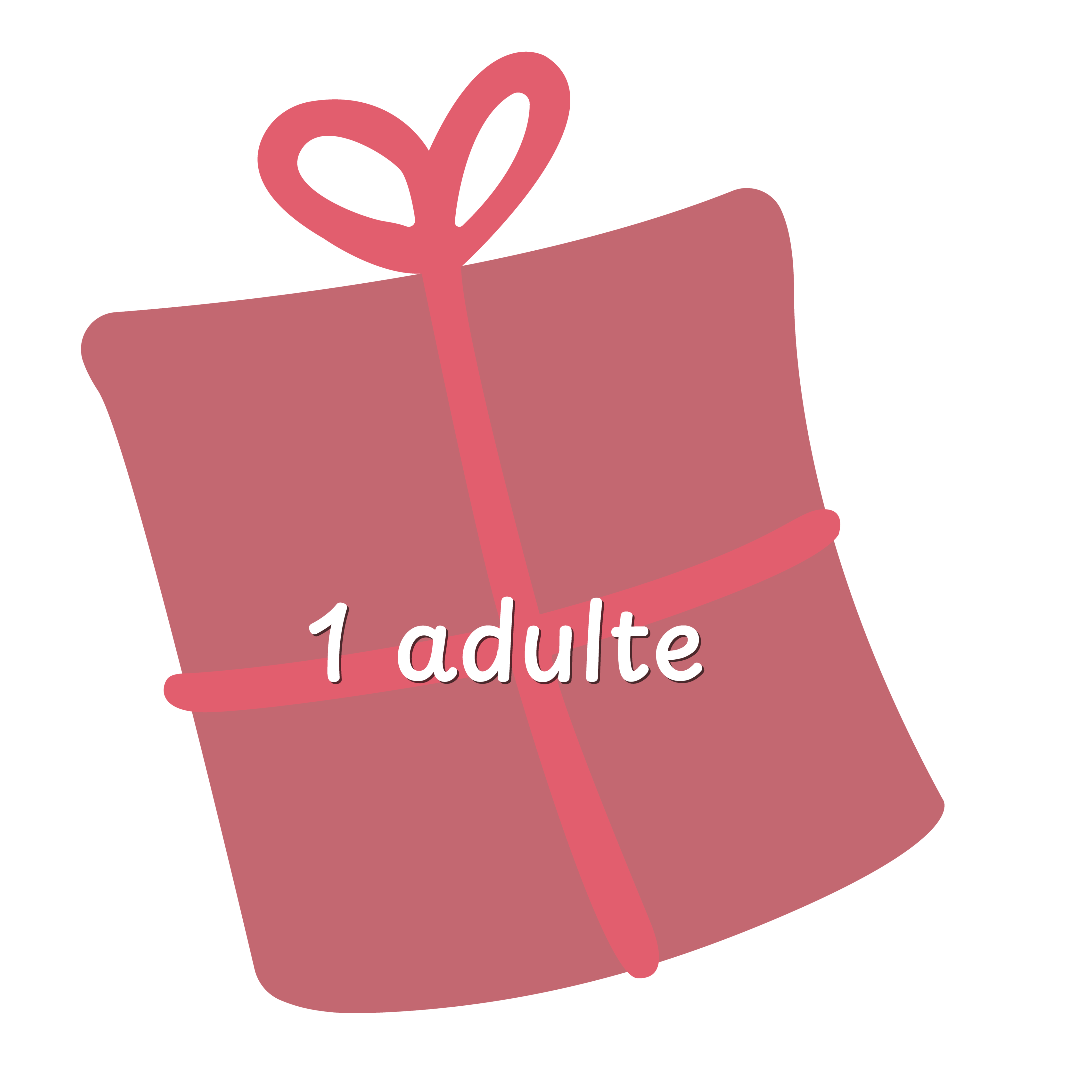 Carte cadeau pour 1 adulte