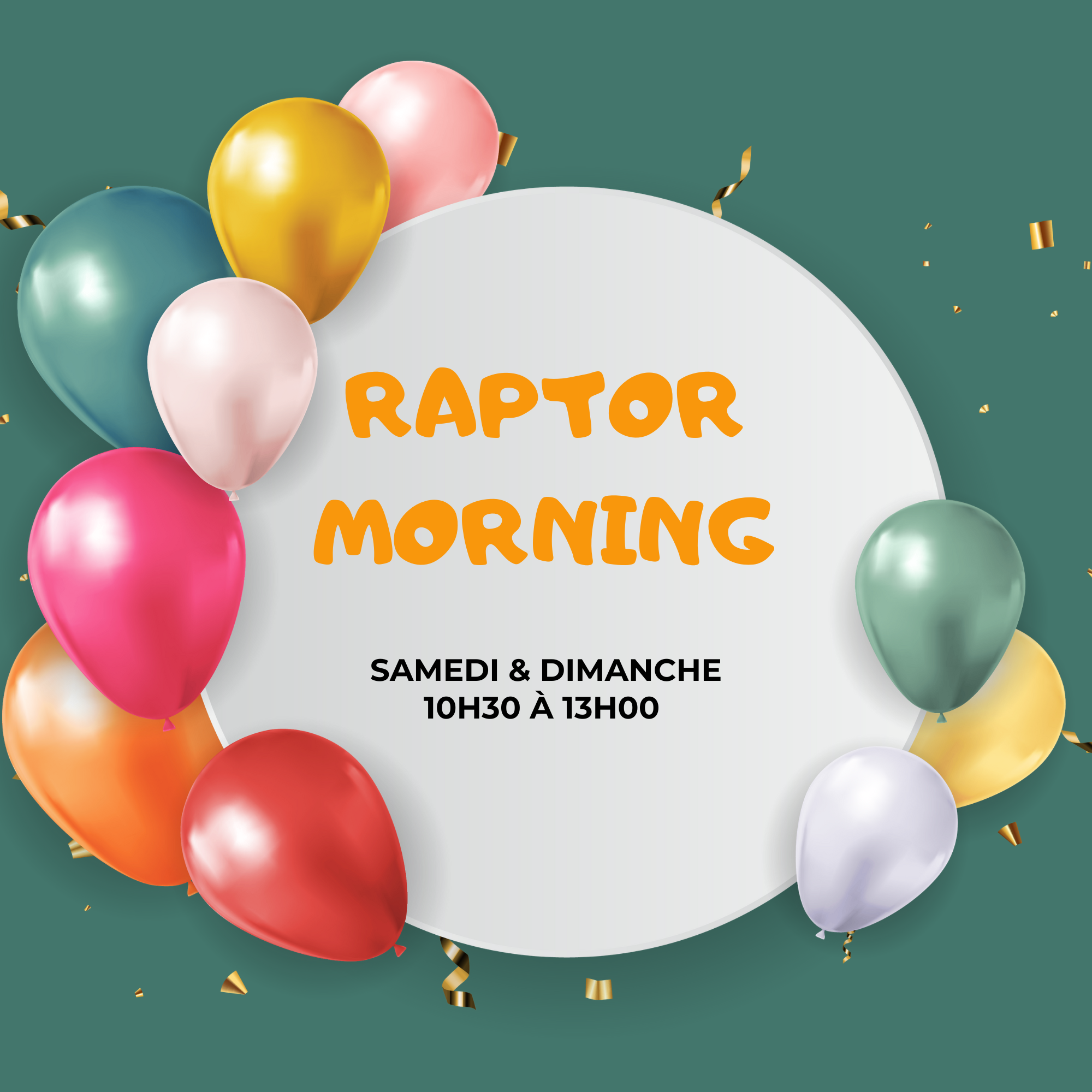 RAPTOR MORNING