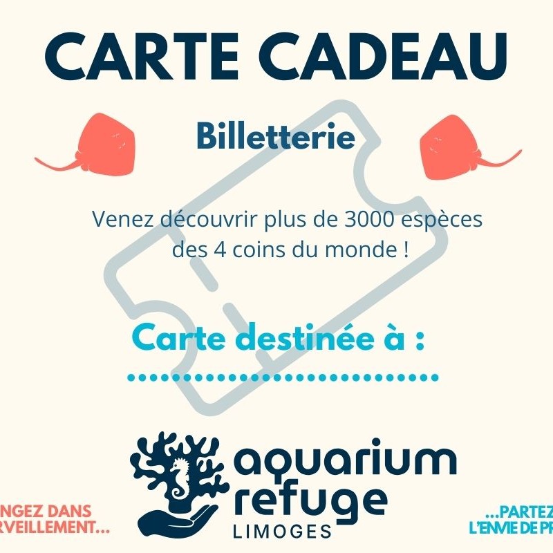 CARTE CADEAU BILLETTERIE FAMILLE 34 EUROS