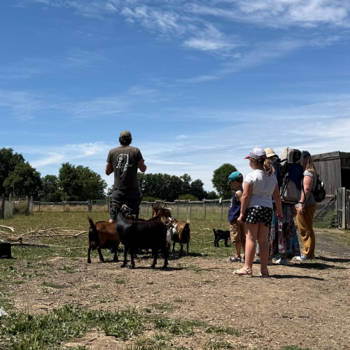 ALSH / centre aéré / crèche