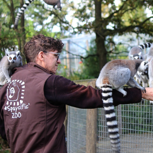 Soigneur d'un jour ACCOMPAGNATEUR ADULTE