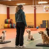 Pack Entrée + Dressage