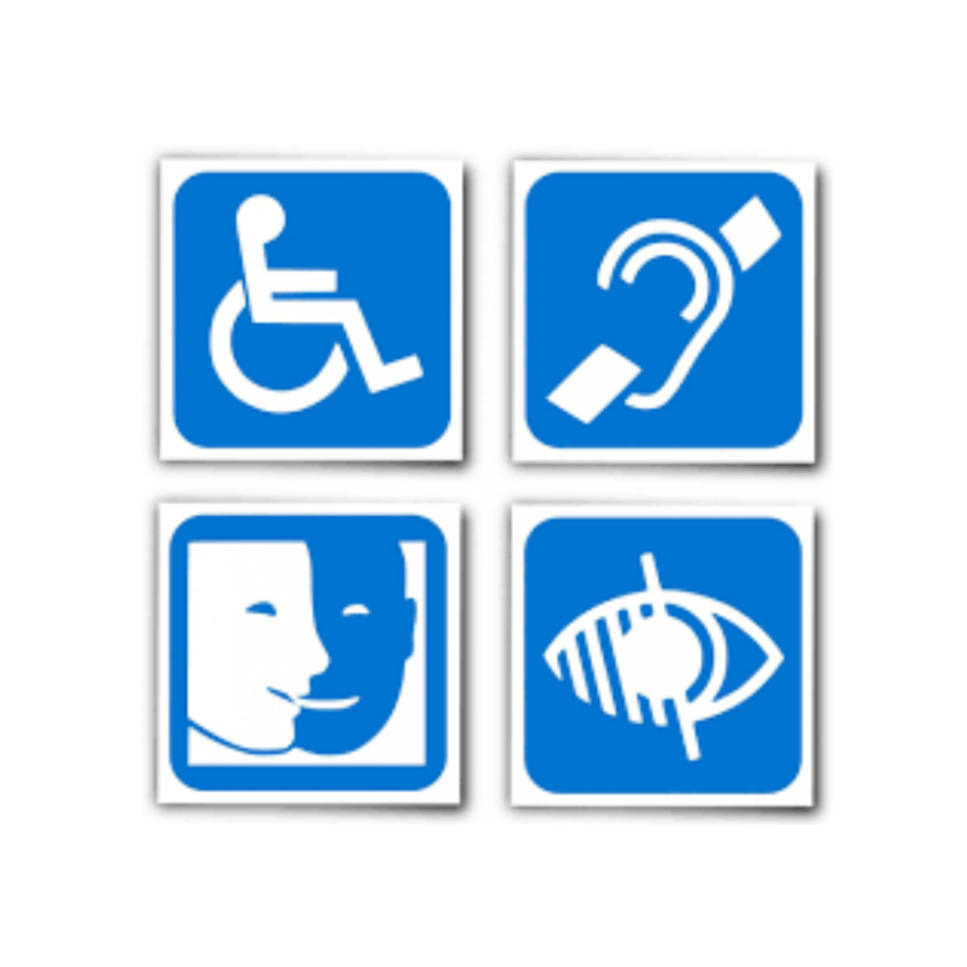 2026-Billet Handi Adulte Valable du 14/02/2026 au 15//11/2026