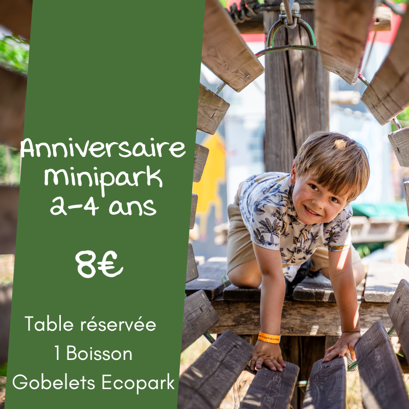 Anniversaire Minipark (2-4 ans)