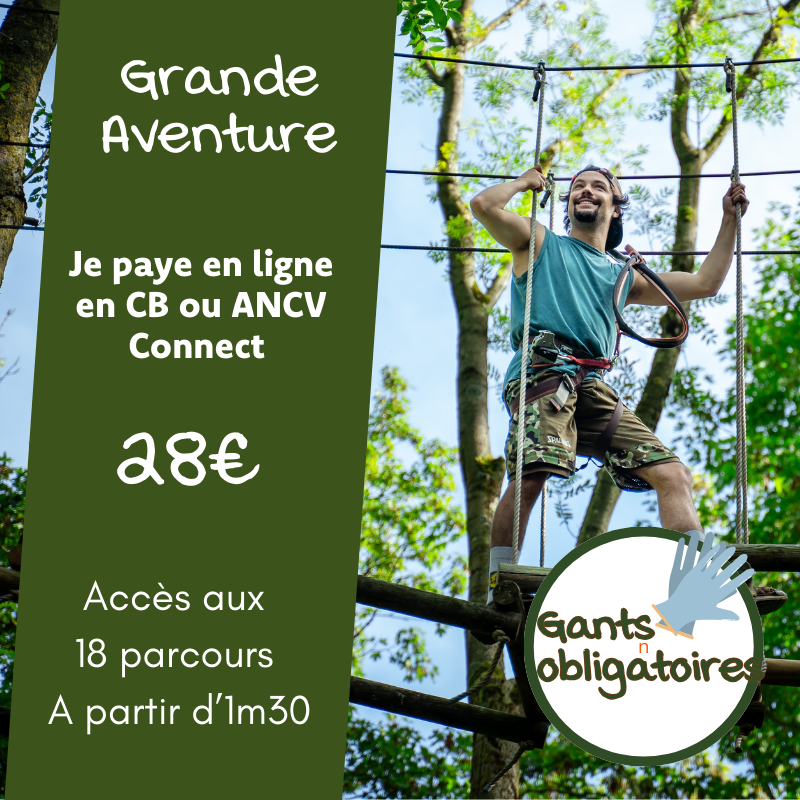 Grande Aventure - En ligne