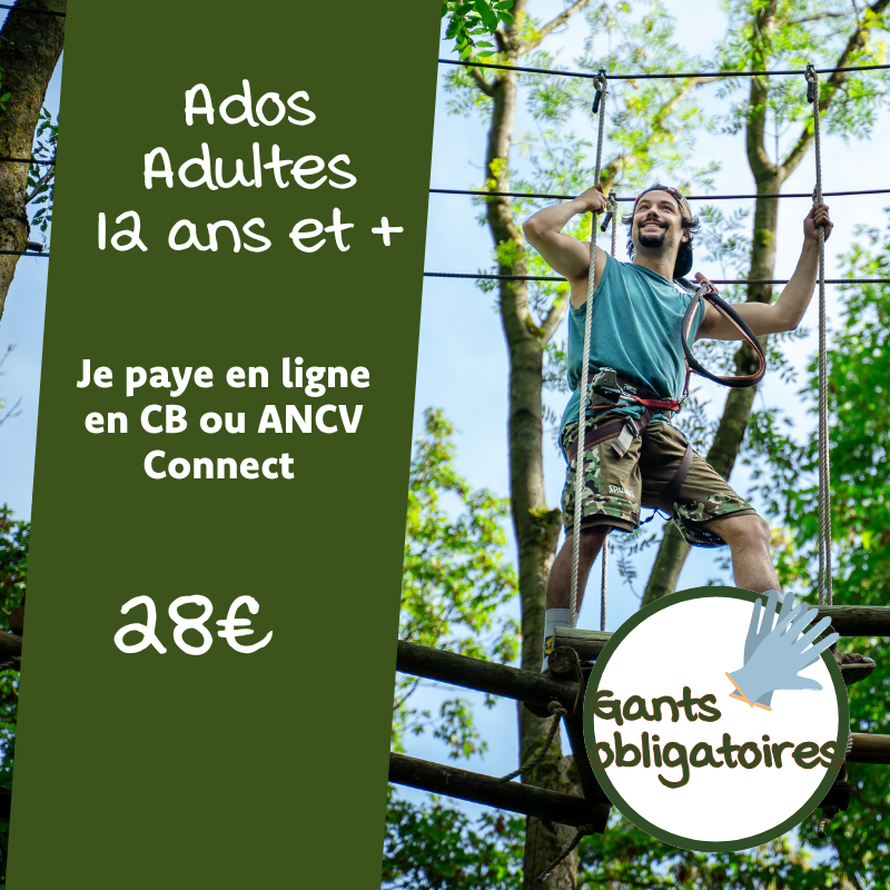 Ado/Adulte (12 ans et +) - En Ligne