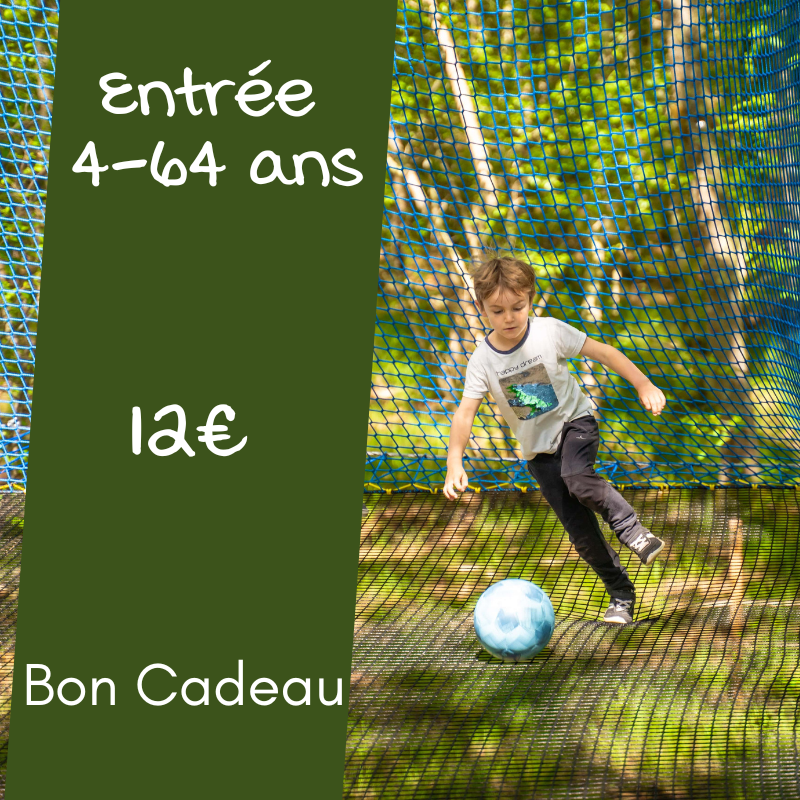 Bon cadeau entrée normale (4-64ans)