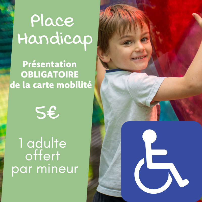 Place Handicap ( avec 1 accompagnateur offert pour les mineur )