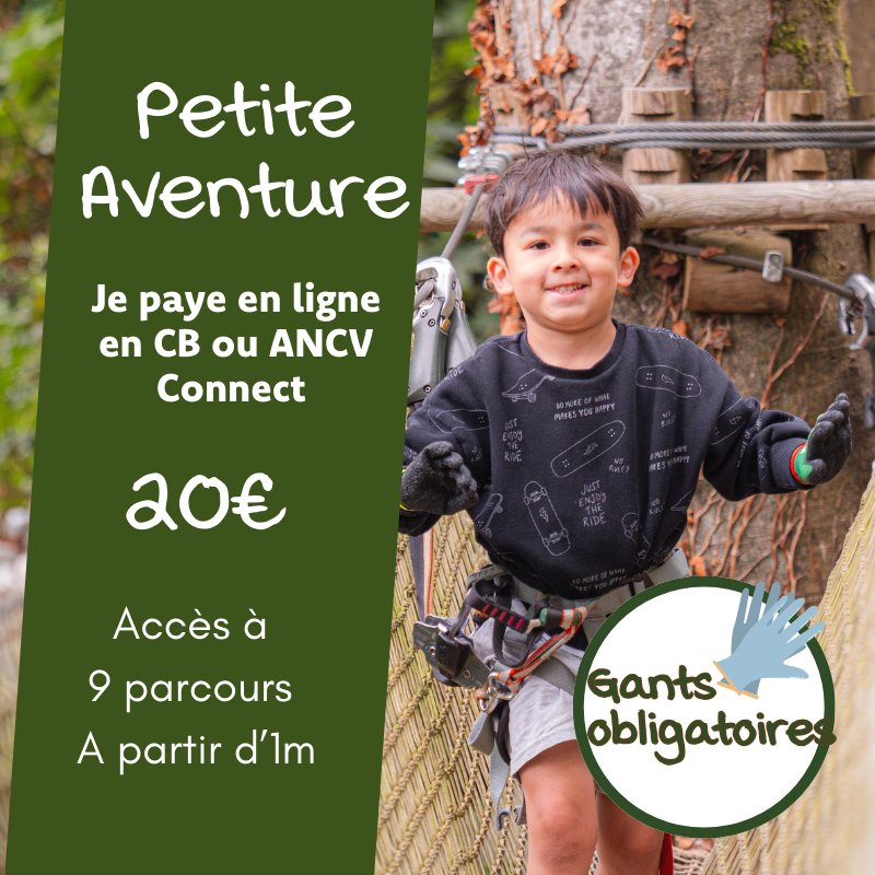 Petite Aventure - En ligne