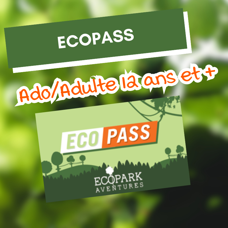 Ecopass ado/adulte (12 ans et +)
