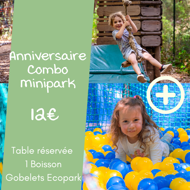 Anniversaire Combo Minipark + Filets