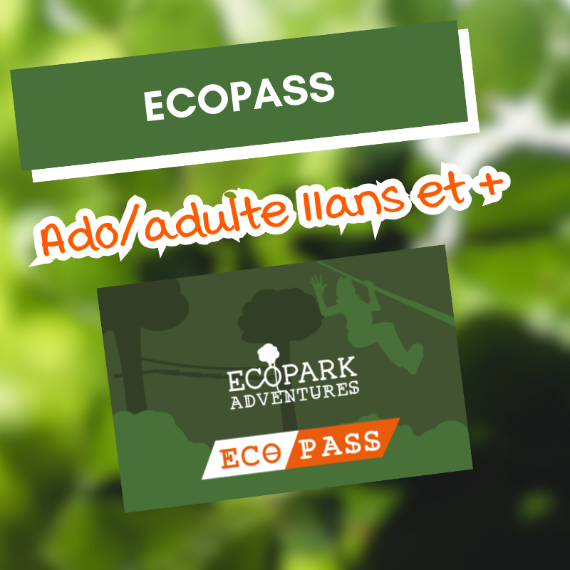 Ecopass ado/adulte (11 ans et +)