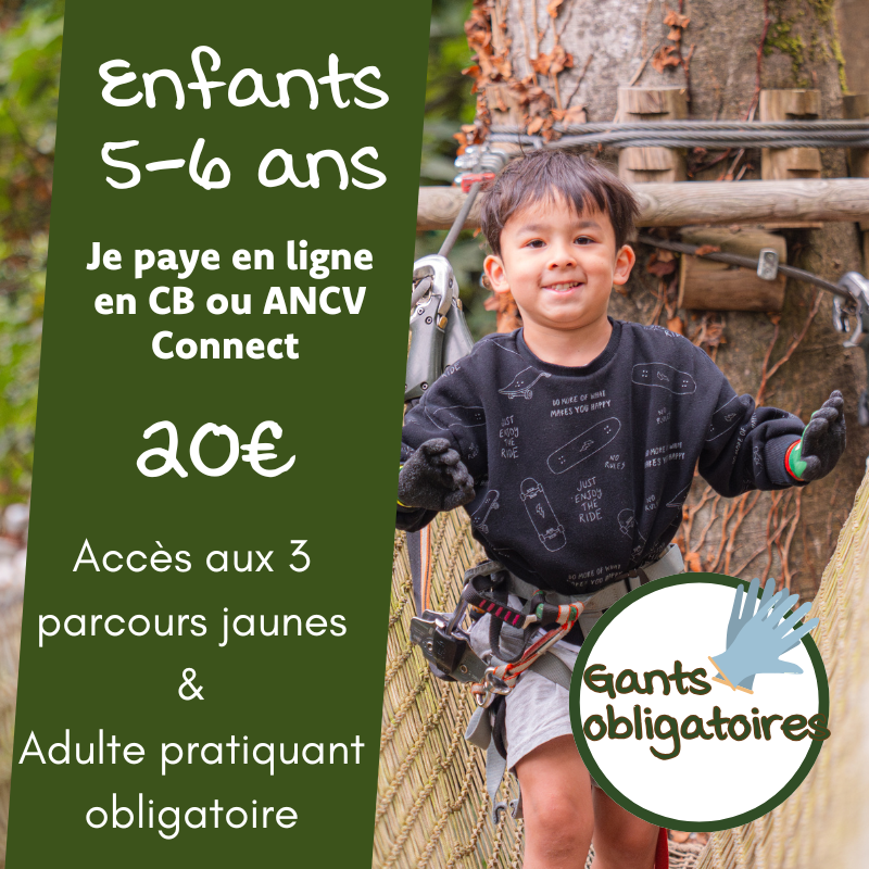 Enfant (5-6 ans) - En Ligne
