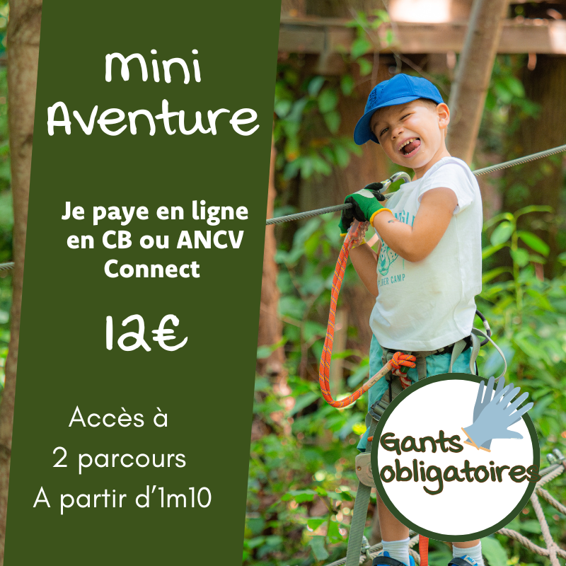 Mini Aventure - En ligne